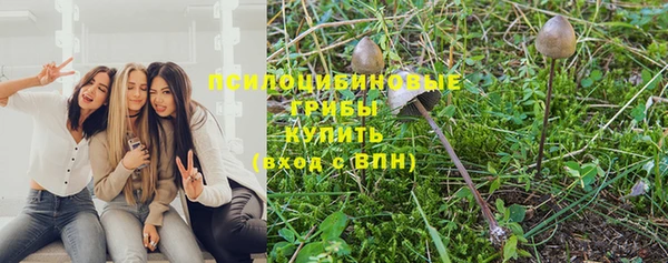 хмурый Алексеевка