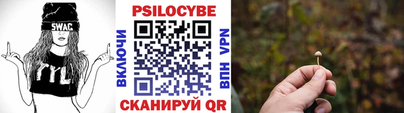 где продают наркотики  Благовещенск  мега онион  сайты даркнета как зайти  Галлюциногенные грибы Magic Shrooms 
