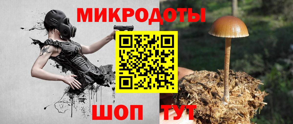 Благовещенск  Галлюциногенные грибы прущие грибы  Вход с VPN 