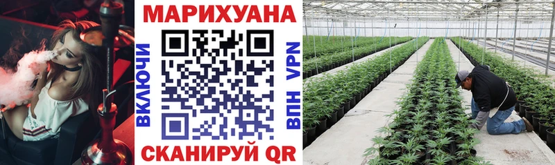 Конопля LSD WEED  Благовещенск 